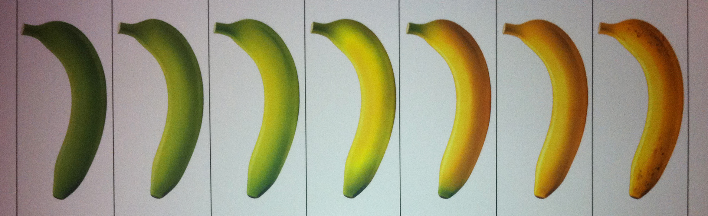 Bananes Fraîches Sur Une Texture De Ciment